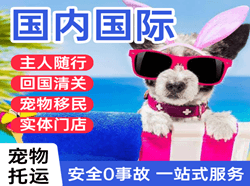 库车空运国际宠物托运 【国